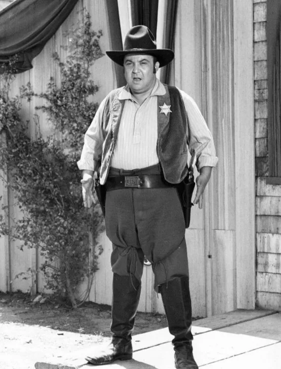 Portrait of Allan Sherman