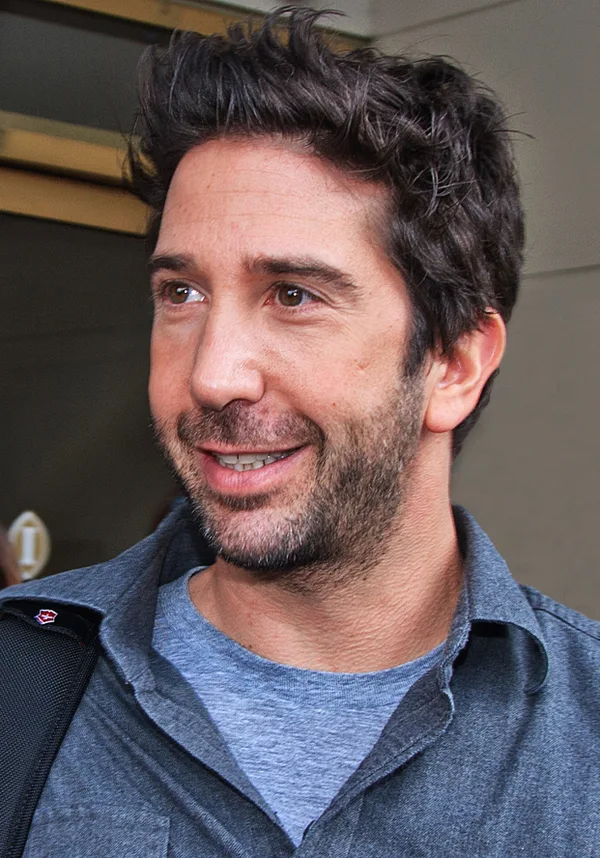 Portrait of David Schwimmer