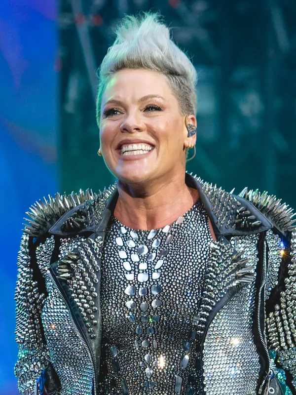 Portrait of Pink (singer)