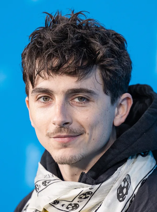 Portrait of Timothée Chalamet